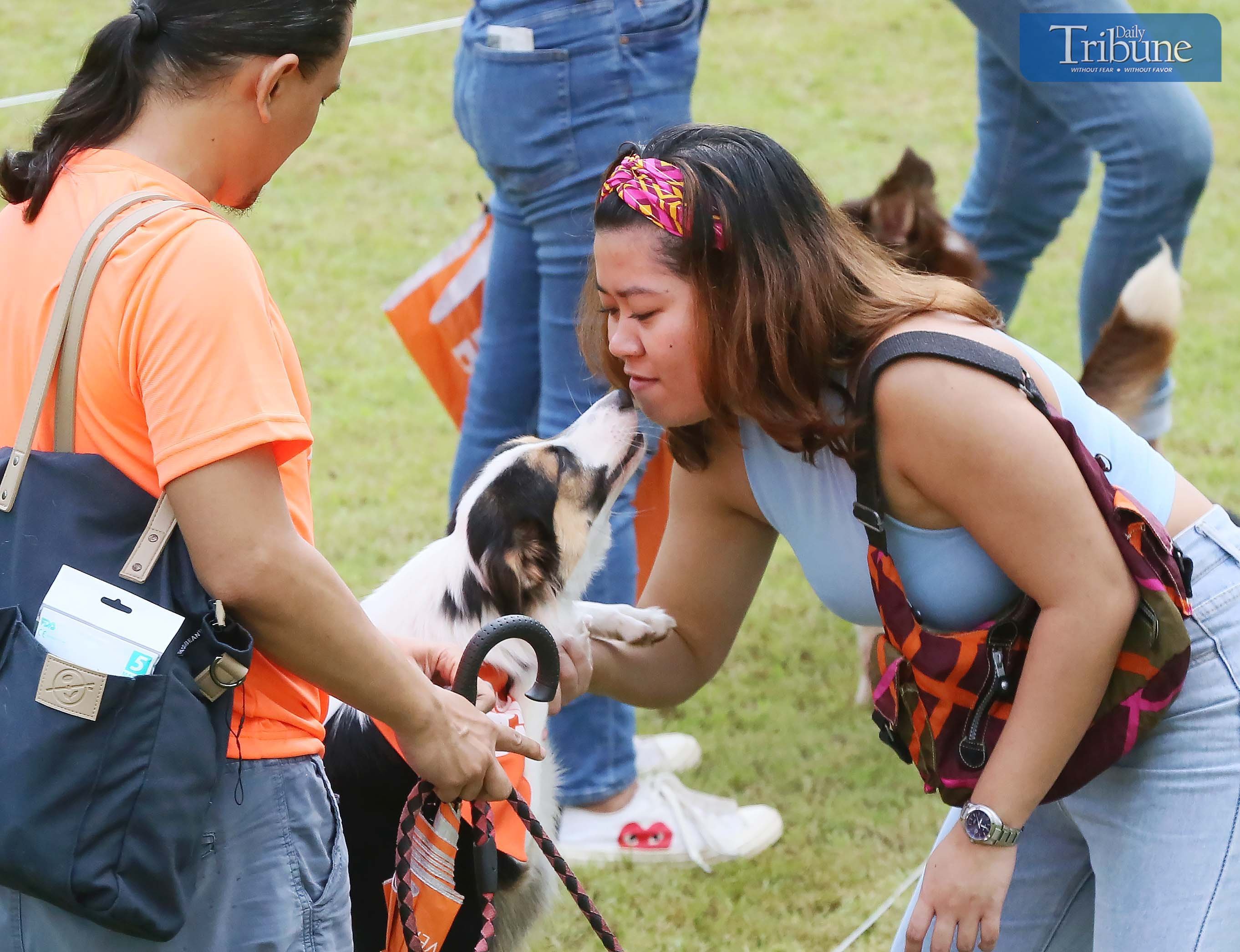 Aspin – or Asong Pinoy -- fur parents and animal rescue volunteers gather at the Vertis North Ayala Malls in Quezon City on Sunday to commemorate National Aspin Day. Photo/Analy Labor